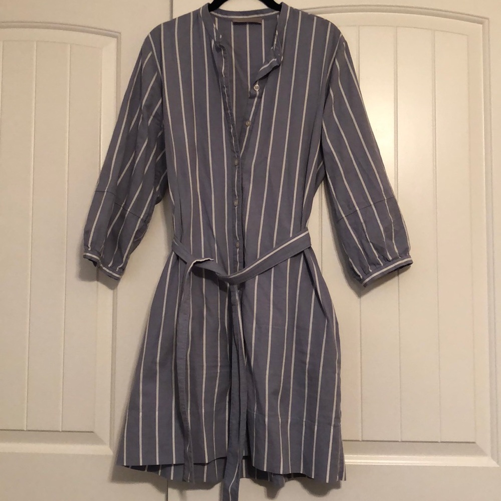 Everlane Blue and White Tunic Dress